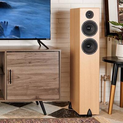 Totem Acoustic Ported 2-Way Tower Speaker - BISON TWIN TOWER (WO)