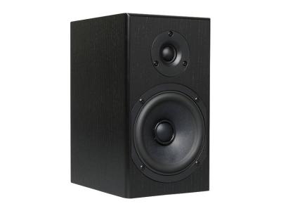 Totem Acoustic Ported 2-Way Design Loon Monitor - LOON (BA)